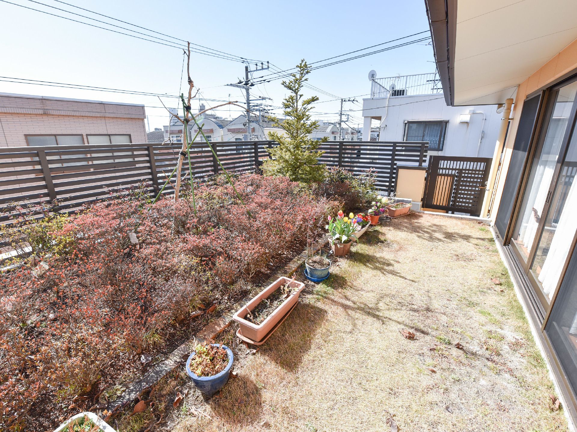 庭先には様々な植物が花開いており、季節によっては入居者の人達と一緒にガーデニングも楽しむことができる。
