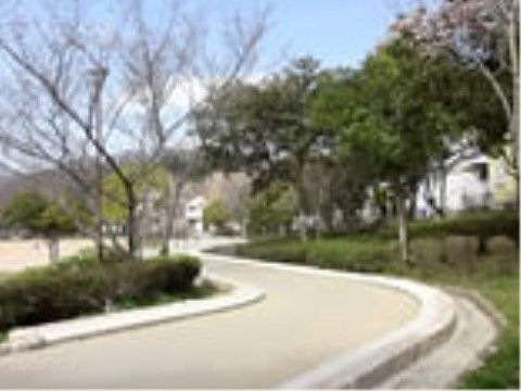 歩道がカーブしており、両側には木などが植えてある。奥のほうは広場になっている。公園の近くは住宅街がある。
