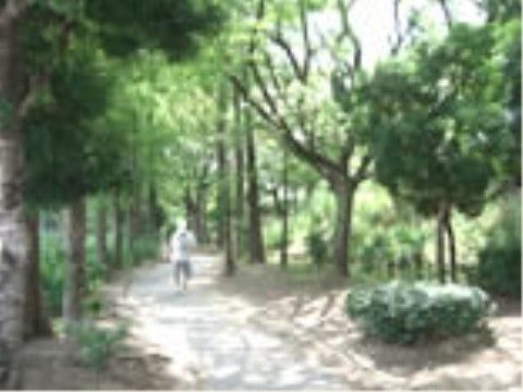 運動や散歩などをしたい時に体を動かせる公園が近くにある。また、公園内には600本もの桜があり、花見シーズンも楽しめる。