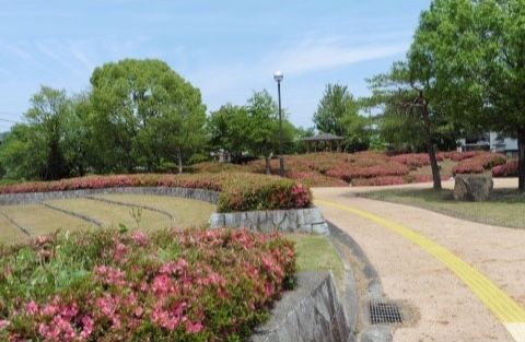 施設の近くには自然豊かな公園がある。散歩をしたり自然と触れ合ったりすることができ、日々の楽しみになる。
