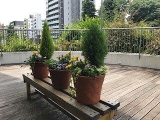 真ん中に植木鉢が3つ並んでいて開放的なバルコニー