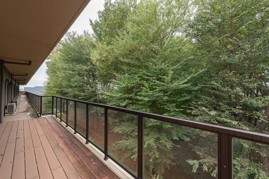 施設からの眺め