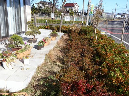 開放的な空間のテラス