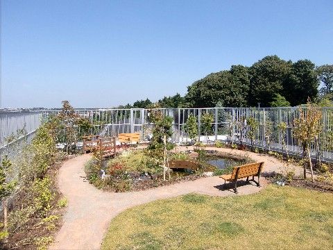 川の景色が見えるように設定された池と植栽がある和風の庭