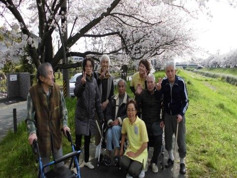 お花見の記念写真を撮る高齢者の方々と介護スタッフ。