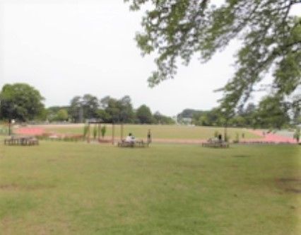 広々とした緑豊かな芝生の公園。