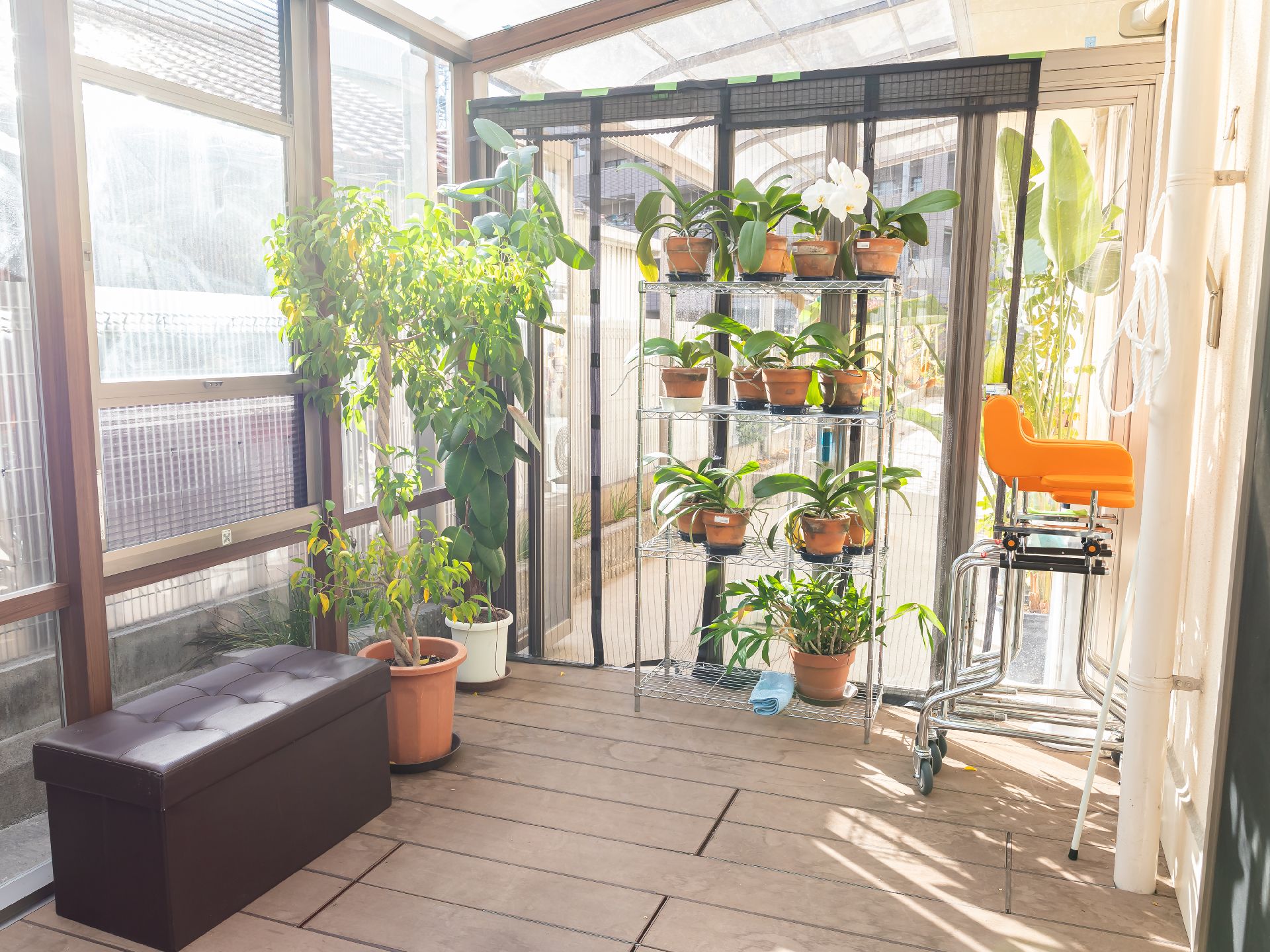 植物が設置されている中庭