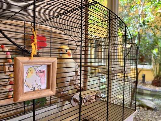 ペットセラピー