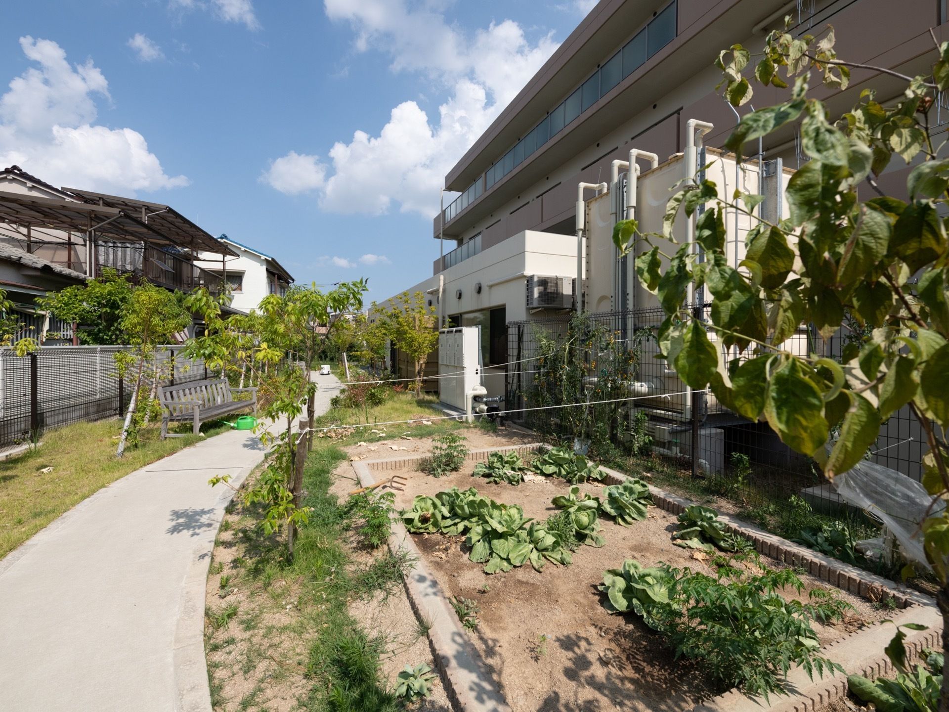 施設敷地内には菜園があり、野菜が育てられている。横のスペースは舗装されており、ベンチも置かれている。