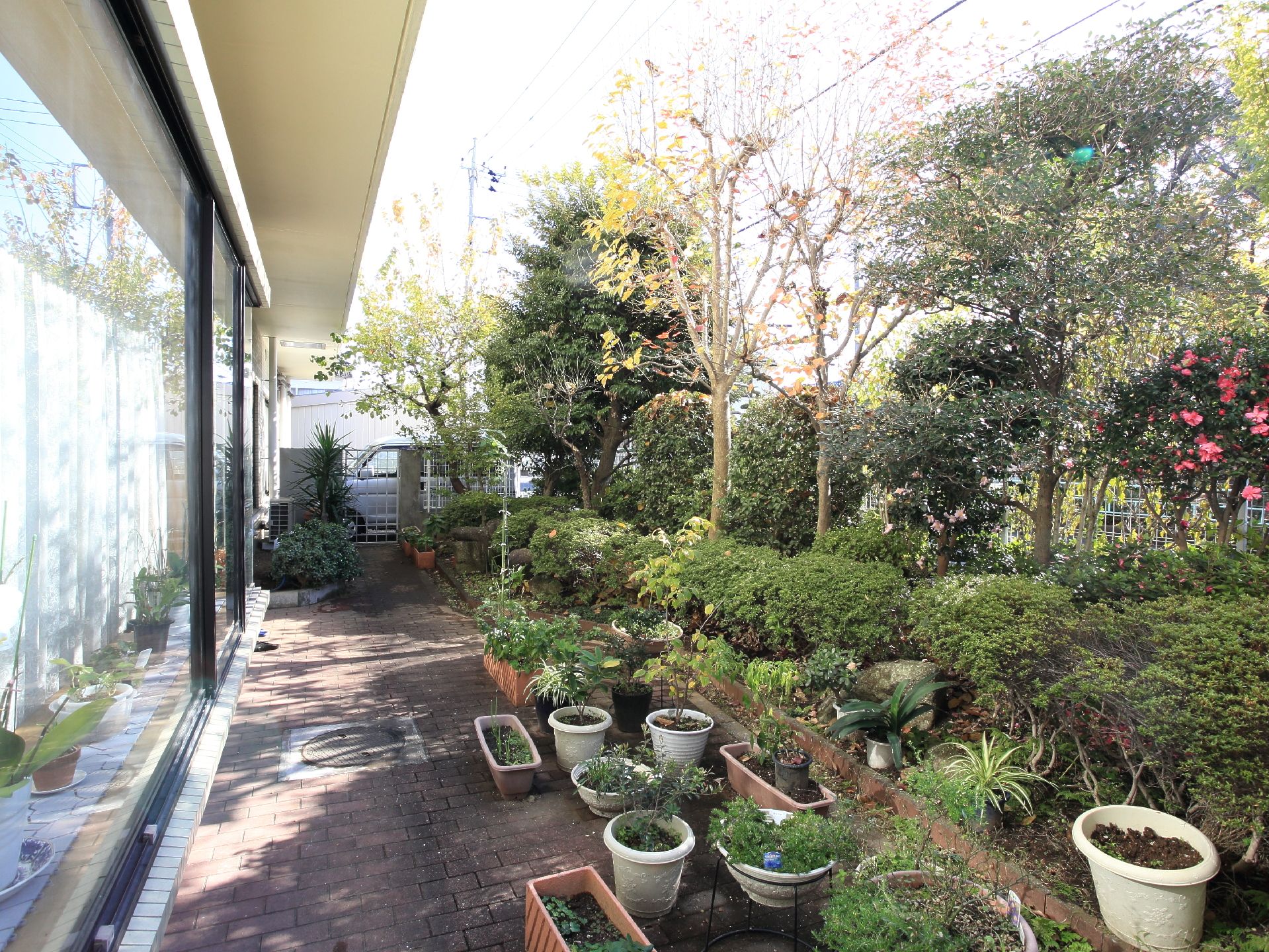 施設の南側に面している中庭。日当たりが良く、四季折々のお花が楽しめる。お水をあげたり、散歩をしたり癒される空間。