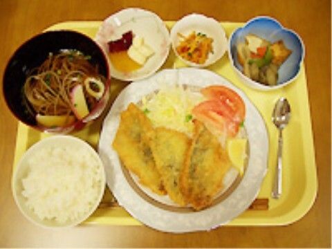 栄養バランスの食事提供