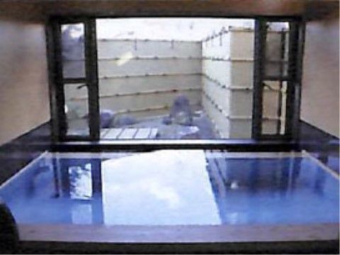 和風の大きな浴室からは庭を眺めることができる。ゆったり身体を伸ばしながら入浴可能で、心も体もリラックスする。