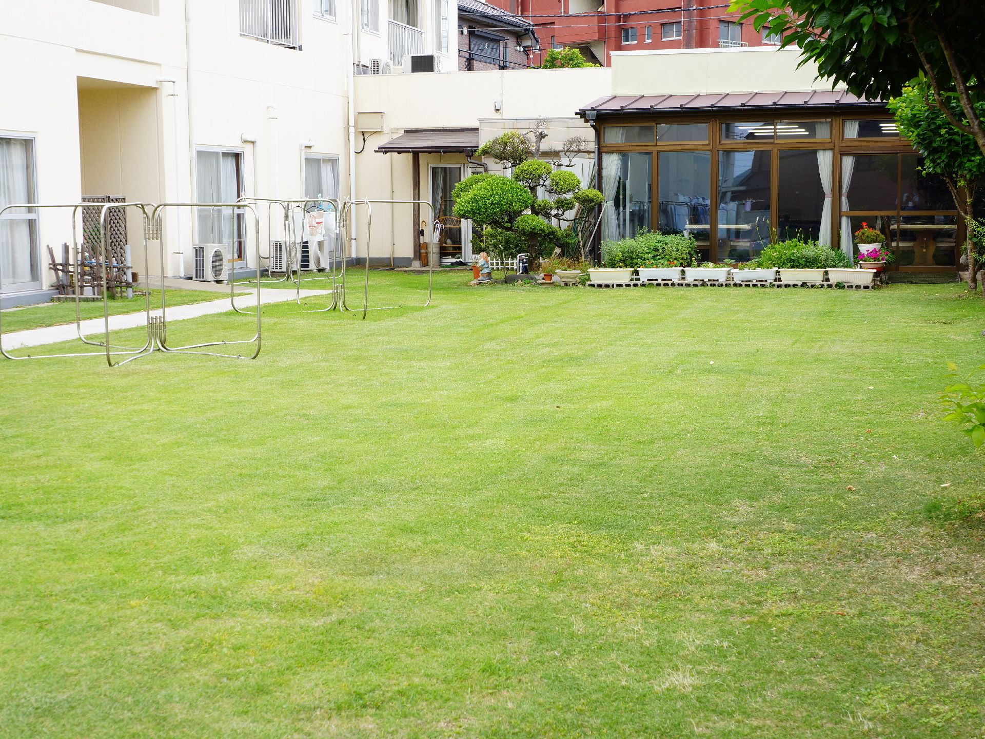 中庭には、きちんと手入れがされた芝生を敷き詰めています。芝生の他にも、植物があります。その緑色が気分を明るくしてくれる。