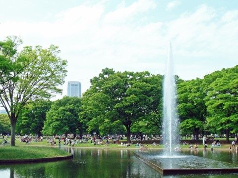 グランレーヴ渋谷の周辺環境。.お散歩に適した緑に囲まれた、大きな公園となっております。