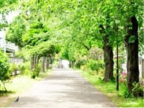 グランレーヴ渋谷の周辺環境。お散歩を楽しめる環境が沢山ございます。
