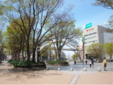 施設の近隣にある散歩コースの公園。広いスペースがあり、タイル張りになっている。所々に木が植えられている。
