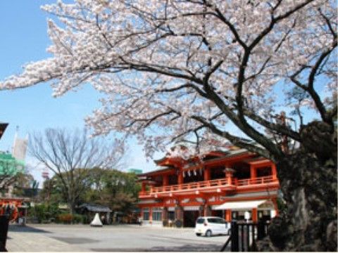 朱色の柱や柵が明るい雰囲気の妙見本宮。手前には満開の桜が映っている。境内は広いスペースがあり、車が一台停まっている。