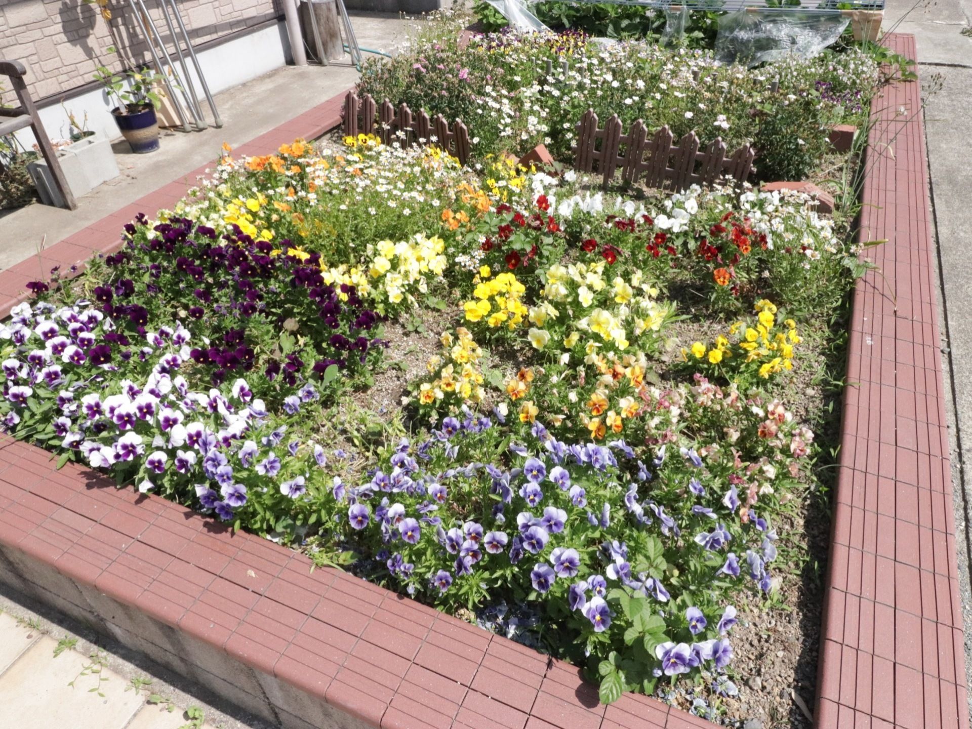 施設に併設された花壇には、四季に合わせて植えられたさまざまな草花が咲いている。入居者様に四季を感じていただけるよう、常時整えられている。