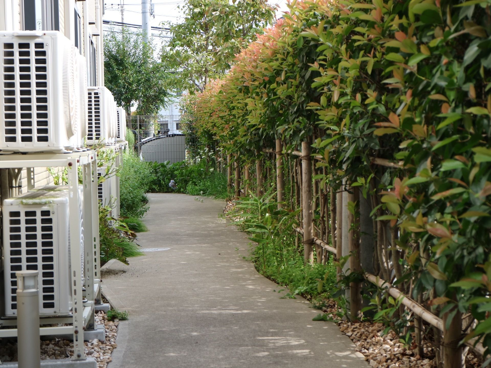 部屋の窓の前に室外機が上下２段に設置されている。窓の前は通路になっており、先端に赤味のある葉がある木などの垣根で囲まれている。