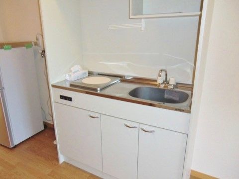 居室に設けられたキッチンにはシンク、電磁調理器が設置されている。下部には開き戸付きの収納スペースが付いている。