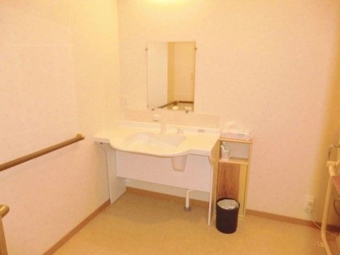 白色の壁に茶色の床である。白の清潔感のある洗面台には、鏡が付いている。そばには、手すりが付けられている。