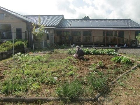 入居者様が手入れをしている、野菜が育てられる施設前の畑