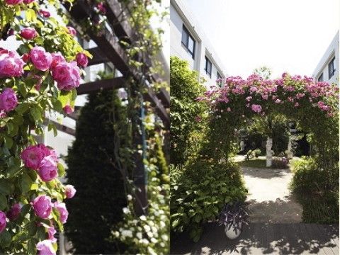 「グループホーム フラワーガーデン」の外観。季節にはバラが咲く。