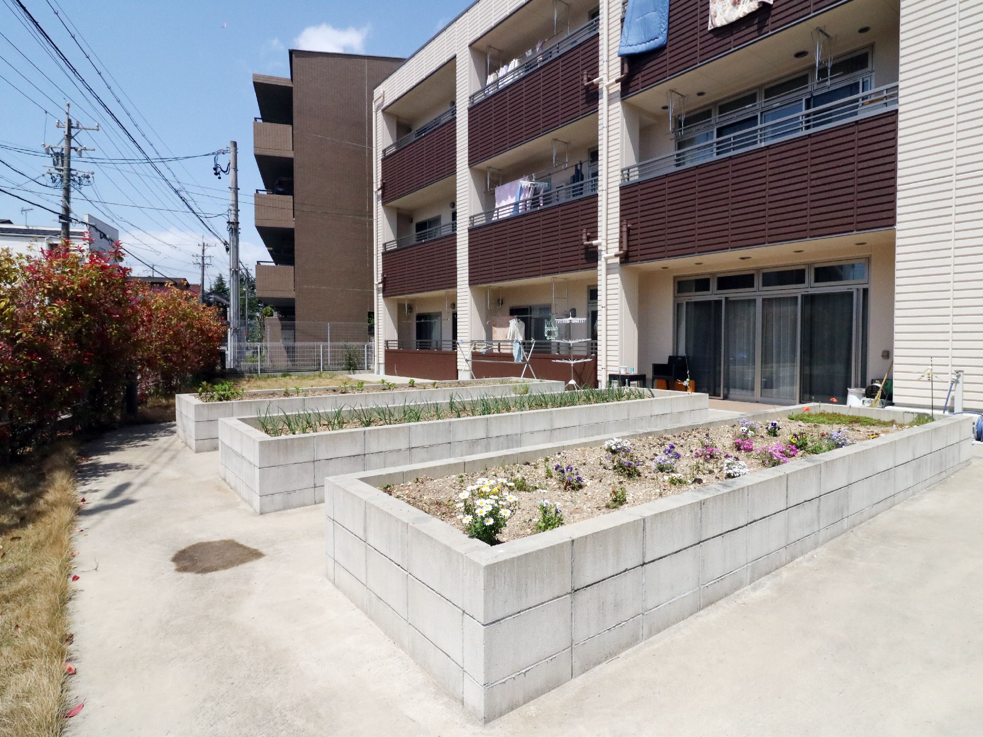 白やピンクの花が咲いている、ブロックで作られた日当たりのいい花壇