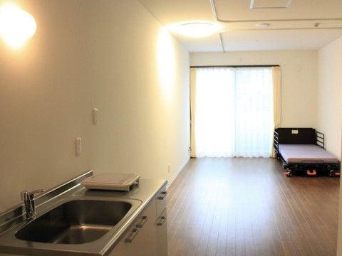 キッチンのシンクが大きいので、洗い物がしやすくなっている。コンセントが複数あるので、家電の置き場に困ることが無い。
