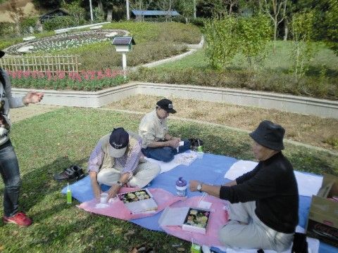 芝生の広がる広場で、レジャーシートに座ってお弁当を食べる入居者様