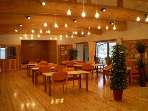 リビングの天井は開放的でデザイン性がある。照明器具や観葉植物を設置し、空間を楽しんでいただけるよう考慮されている。