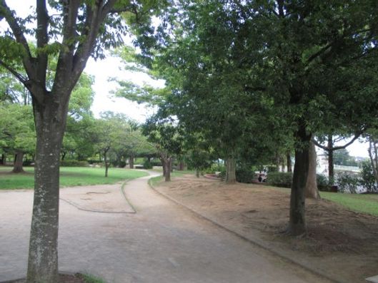 公園1