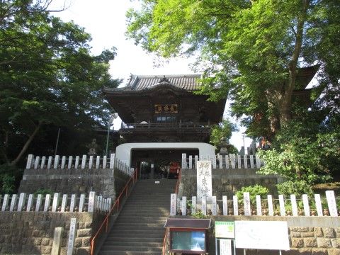 長い石段の上にお寺がある。石段の両側には手すりが付いており、周囲の大きな木々が木陰を作ってくれている。