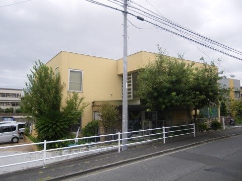 ２階まで届く高さの樹木に囲まれているベージュ色の建物