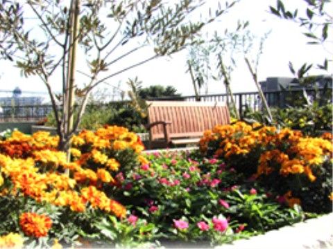 オレンジやピンクの花が気持ちを高揚させてくれるベンチのおかれた屋上の庭園