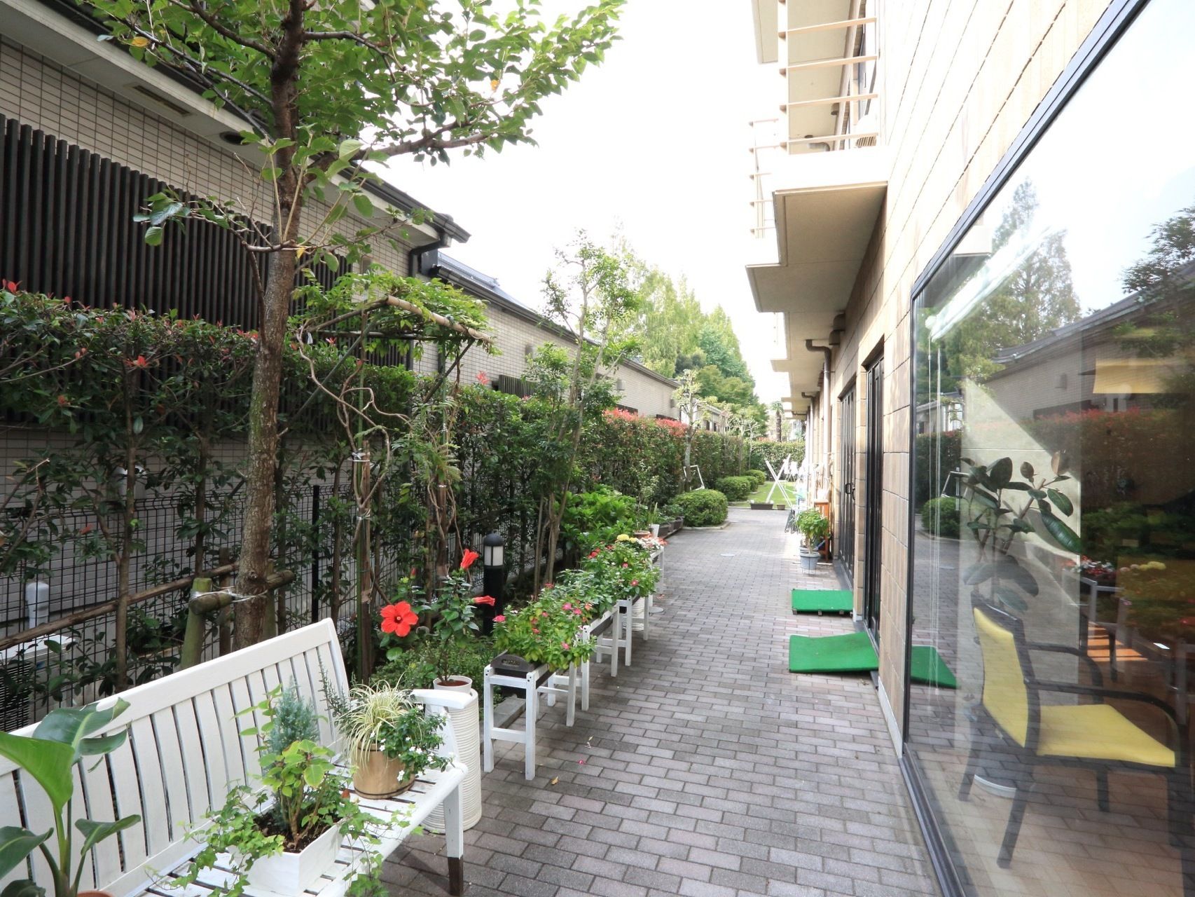 施設の外に設けられた花壇のコーナーには、さまざまな草花が白塗りのベンチやラックの上に並べられている。