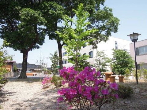 当施設自慢の中庭には木々や植物が植えられており、お散歩などをしてリラックスした時間をお過ごしいただける。
