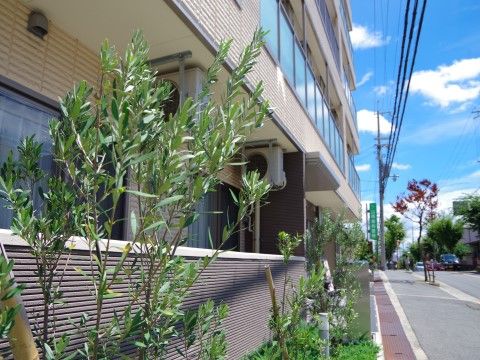各部屋のベランダのフェンス前に樹木がたくさん植えられた外周