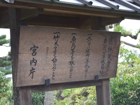 施設の周りには観光地が多数存在している。古市古墳群もその一つで歴史を感じることのできる町に施設も建っている。