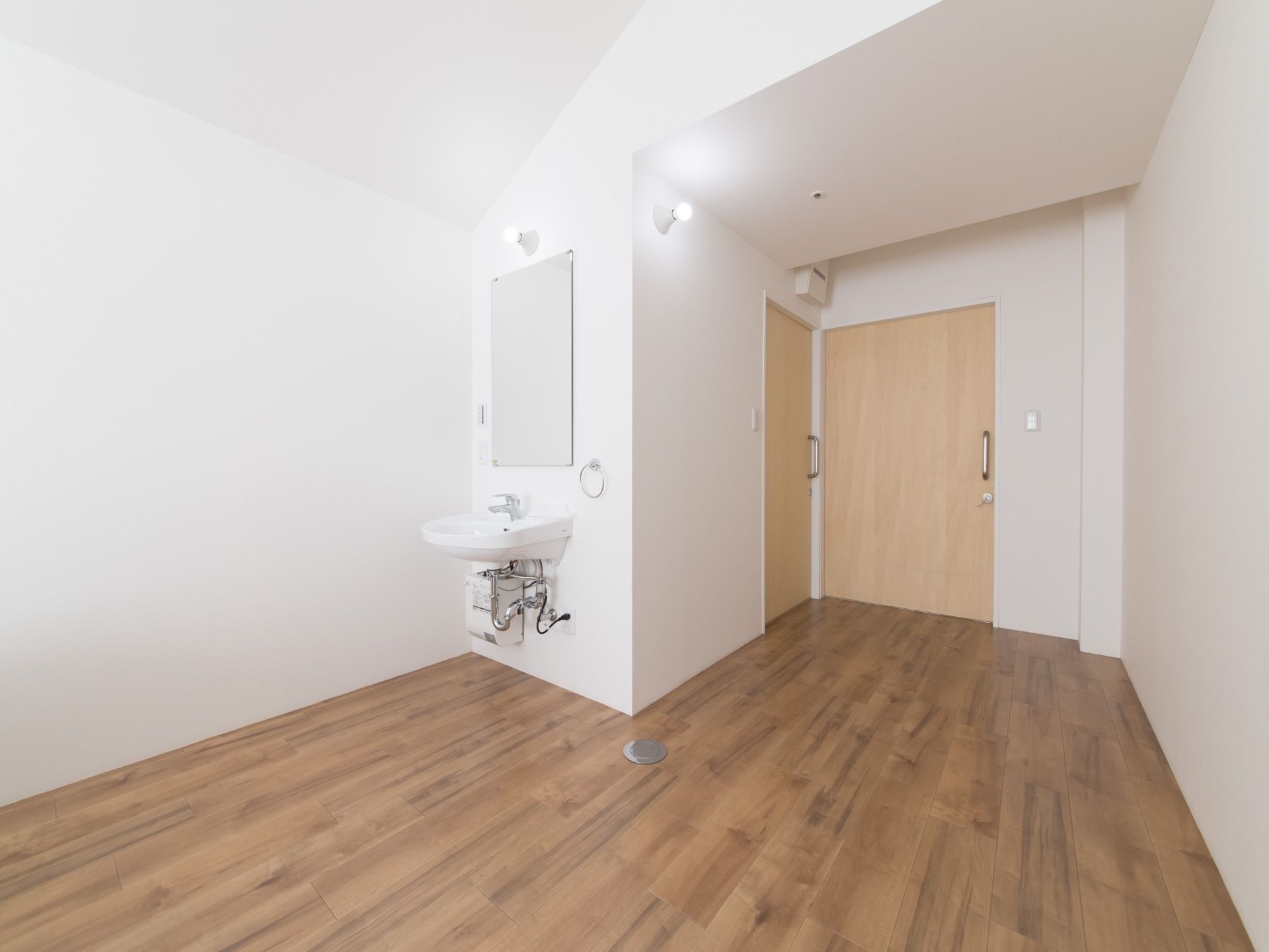大きく開く引き戸の入口扉の横にトイレの入口と洗面台がある部屋