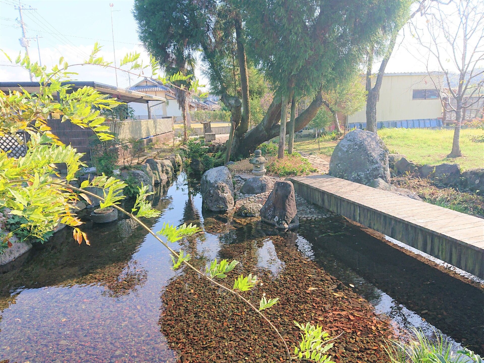 施設の敷地内にある、綺麗な水がたまっている大きな池