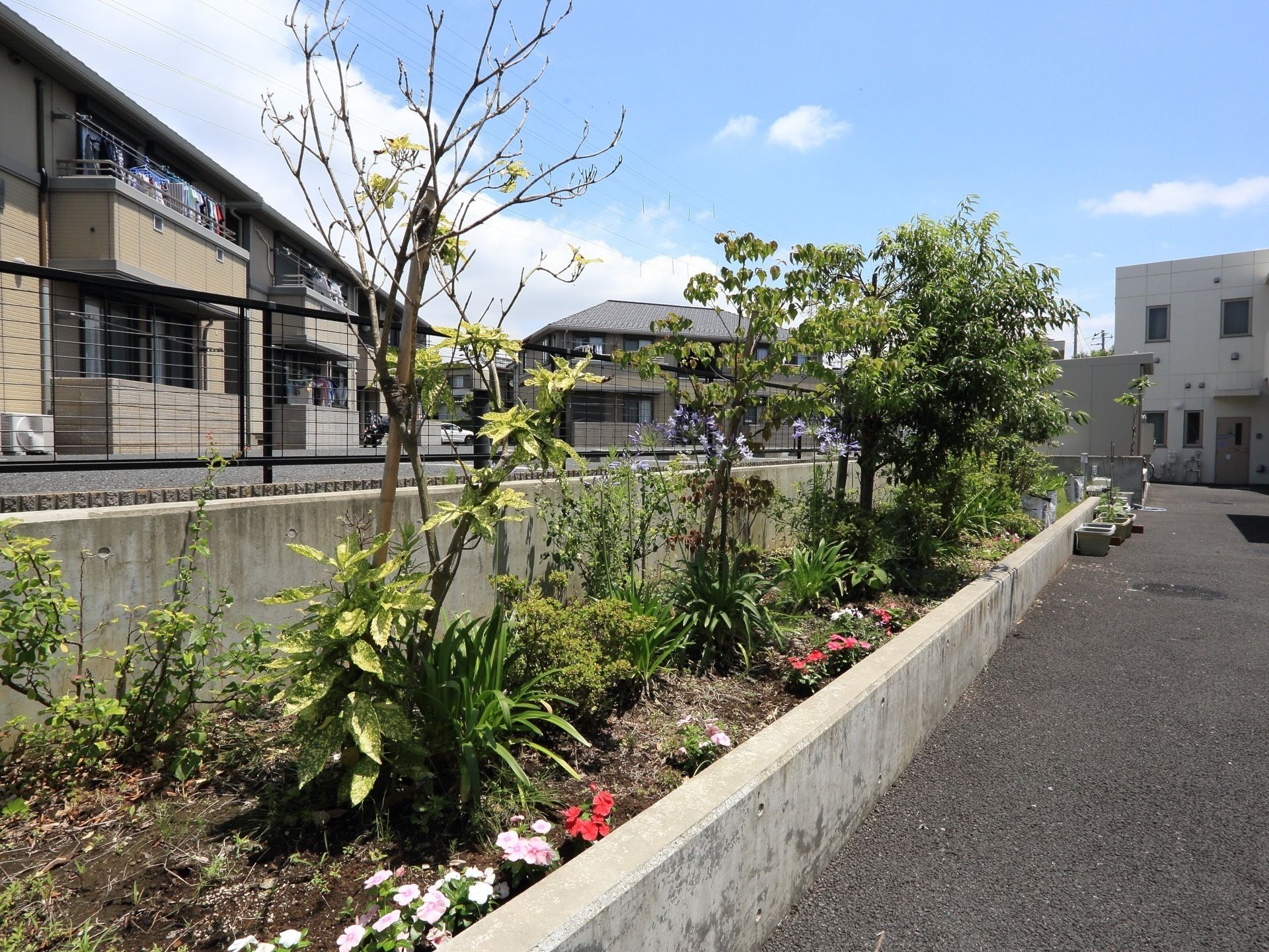 駐車場脇に花壇が設けられている。赤や白の花や、草木が植えられている。
