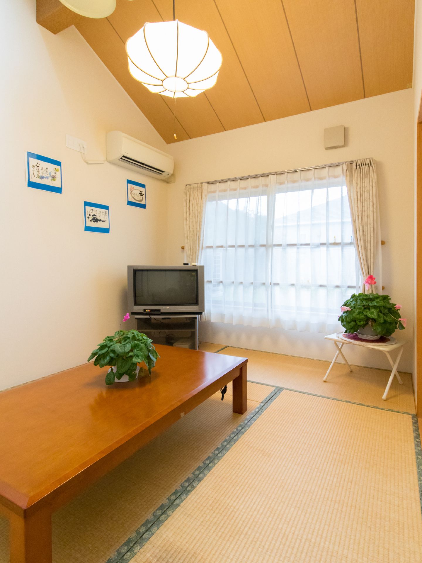 畳の部屋で、陽光が射し、窓にはレースカーテンが取り付けてある。折り畳み式の棚に、観葉植物が置いてある。