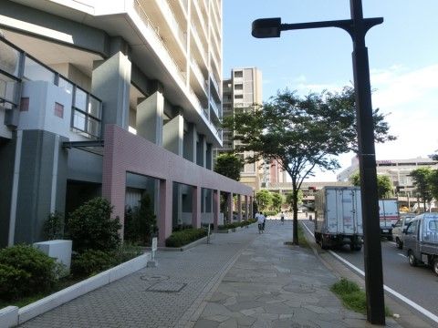 街路樹のある広い歩道を通って、駅方向へと向かう道である。買い物などお出かけをした際に利用する道である。