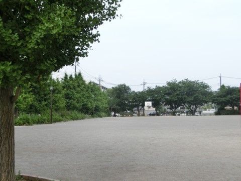 歩きやすくならされた土の上を散歩することができる公園がある。ボール遊びをしている子供に出会うことがある場所だ。