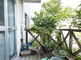 ベランダの緑豊かな植物
