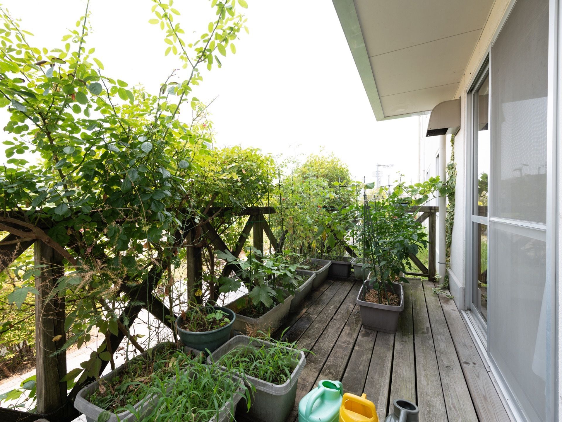 ベランダには多くのプランターが設置されており、多様な植物が植えられている。ベランダの柵にも、外周を取り囲むように草木が栽培されている。