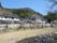 河川敷の散策路に桜の木が立ち並んでいる向こうにある施設の建物