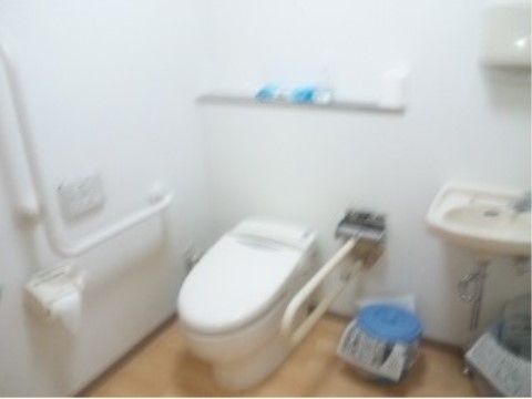 トイレの壁は白く、頑丈な手すりが付いている。便器にはタンクが付いておらず、手洗い用の洗面台が用意されている。