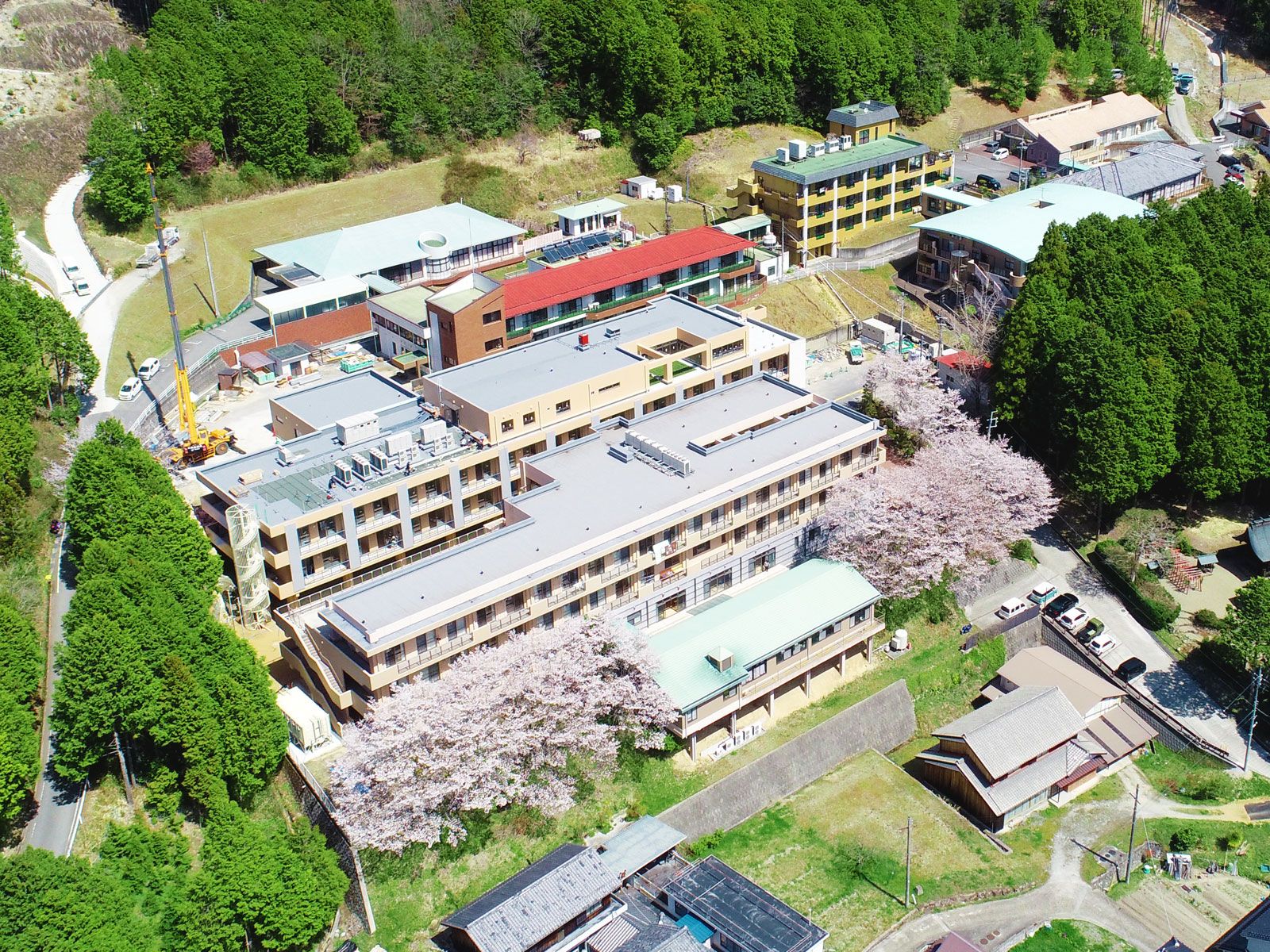 桜に囲まれた施設全景